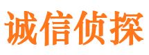 缙云侦探公司